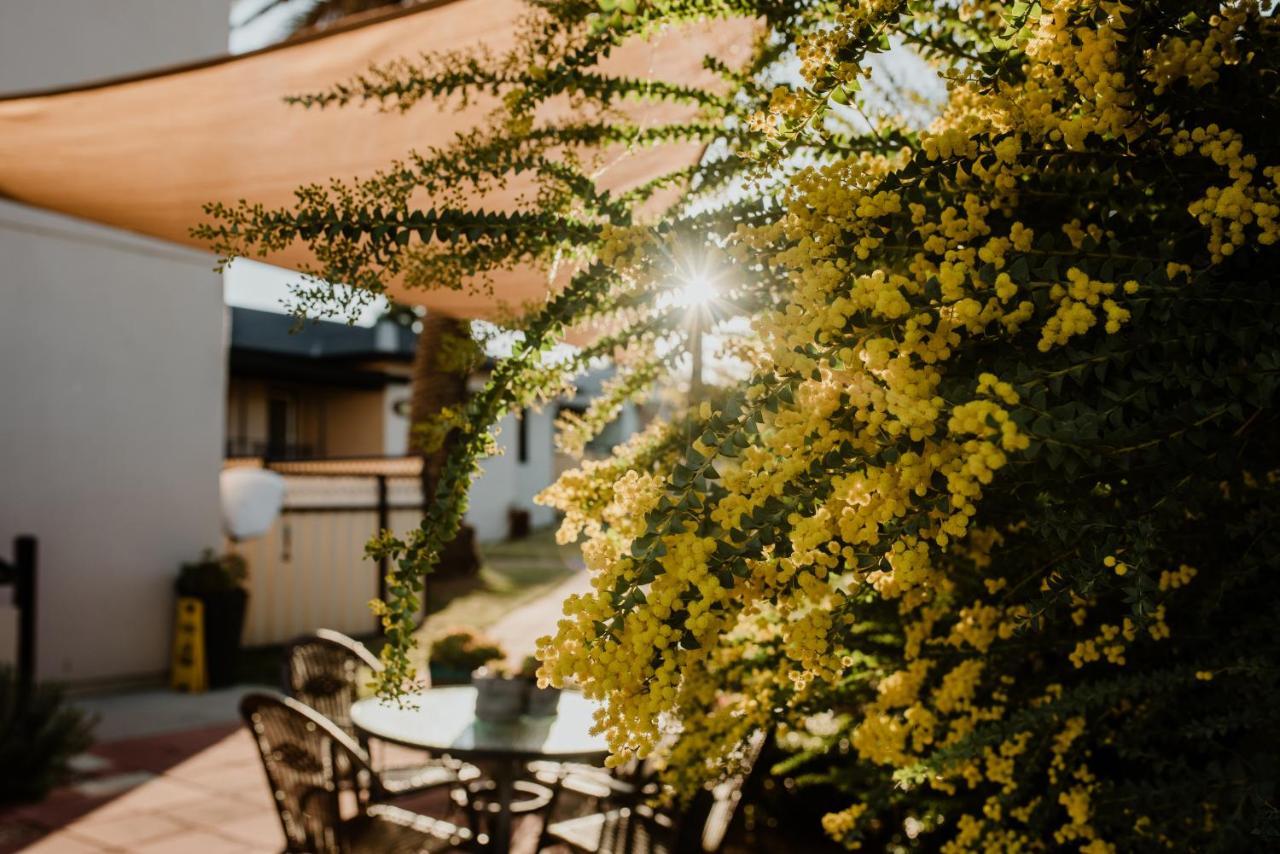 Inverell Terrace Motor Lodge Екстериор снимка